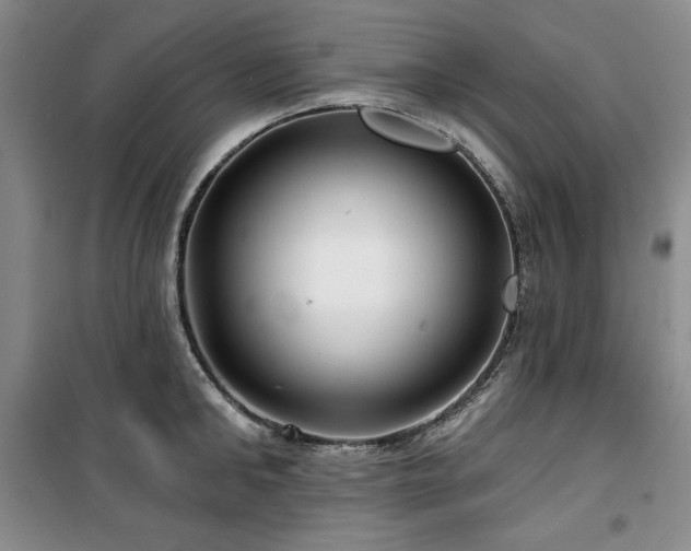 X0000100370902200806061153