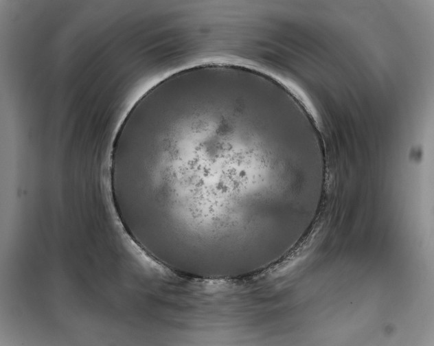 X0000100370903200806061153