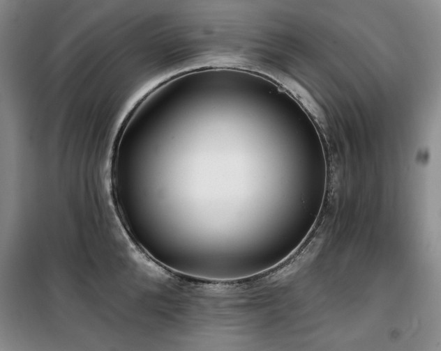 X0000100370904200806061153