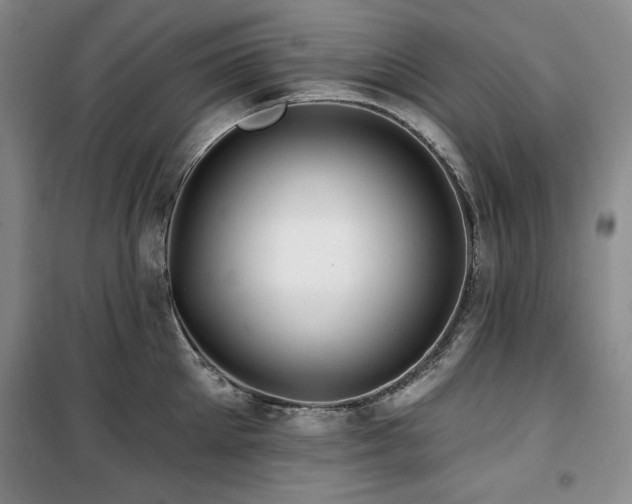 X0000100370905200806061153