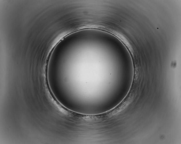 X0000100370906200806061153