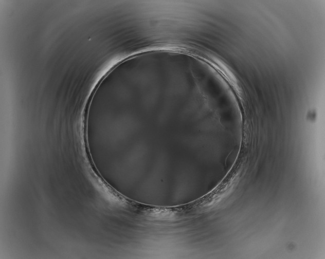 X0000100370907200806061153