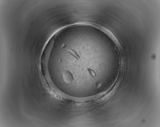 X0000100370908200806061153