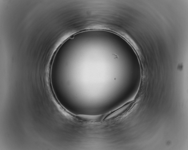 X0000100370909200806061153