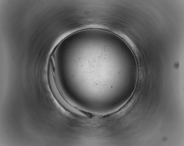 X0000100370910200806061153