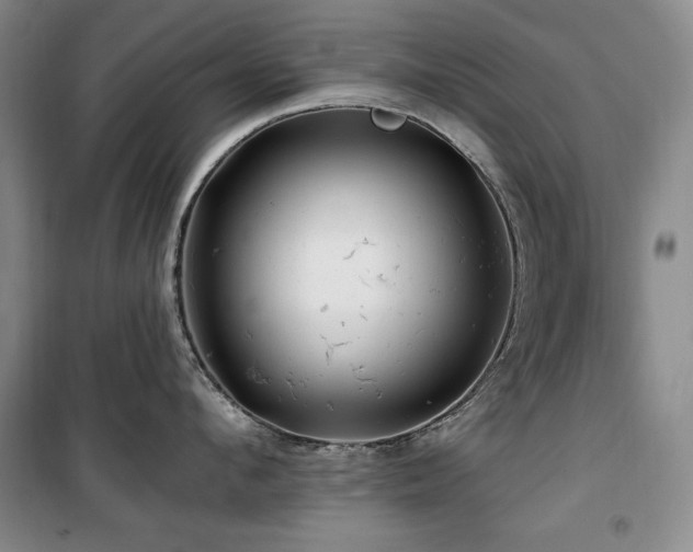 X0000100370912200806061152