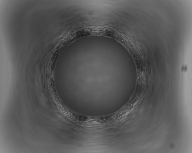 X0000100370913200806061152