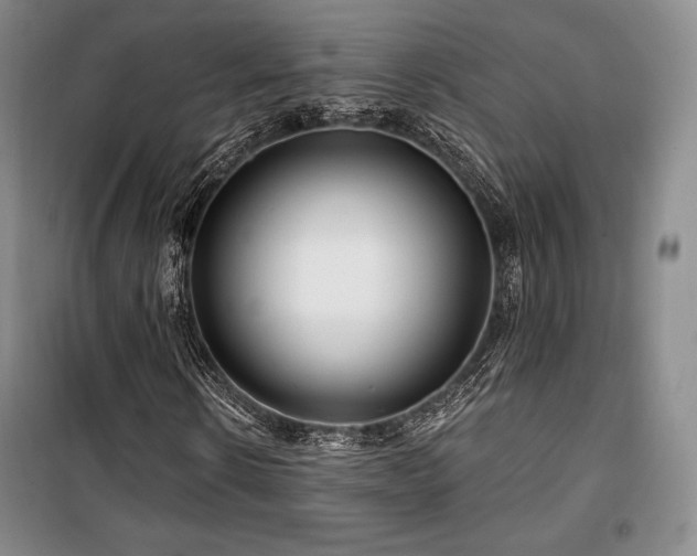 X0000100370914200806061152