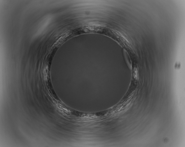 X0000100370915200806061152