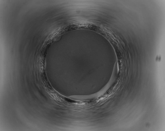 X0000100370916200806061152