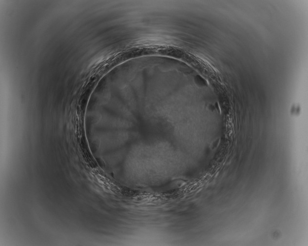 X0000100370917200806061152