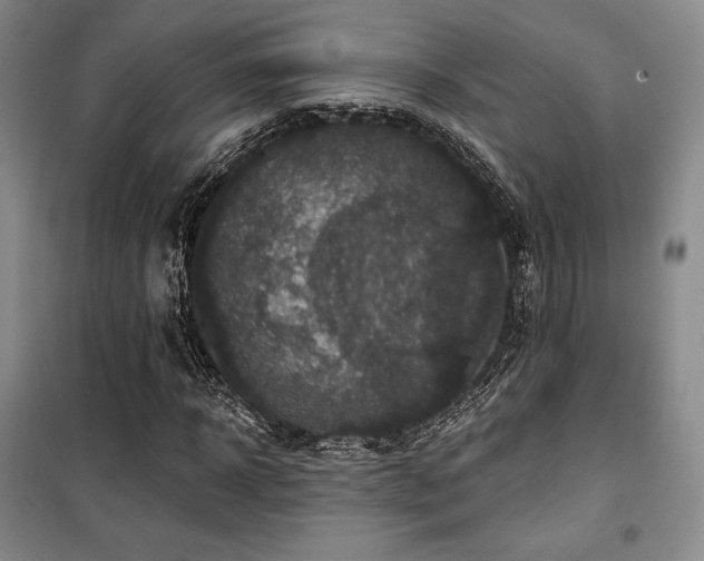 X0000100370918200806061152