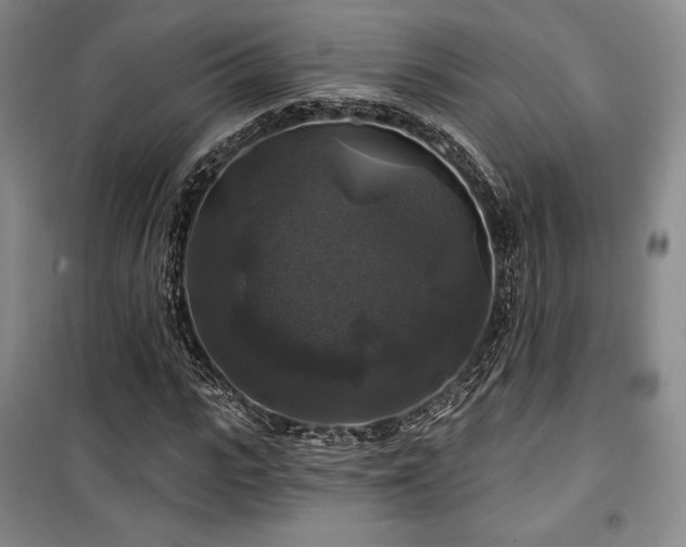 X0000100370919200806061152