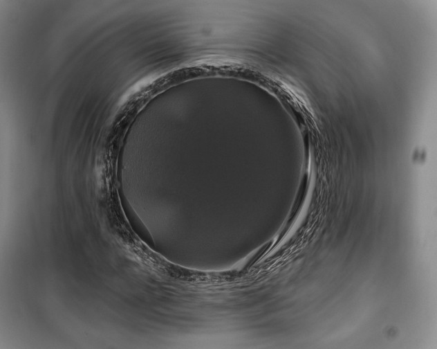 X0000100370920200806061152
