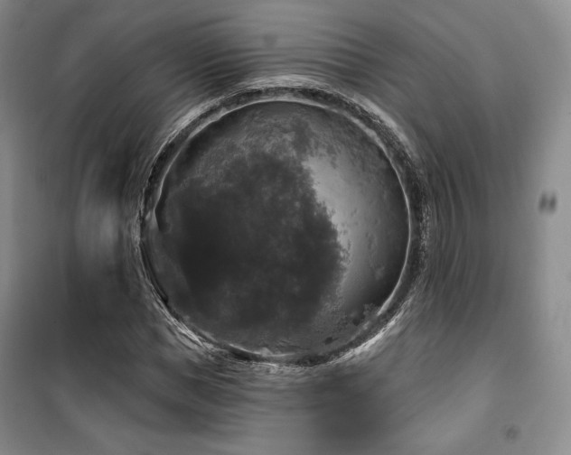 X0000100370921200806061152