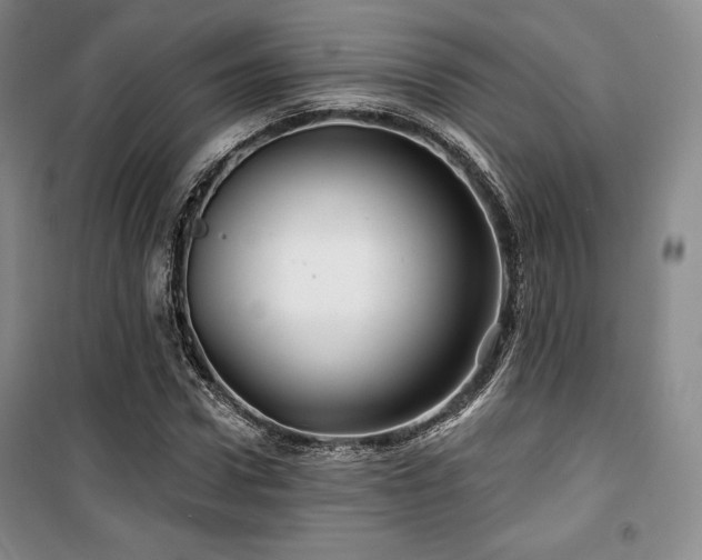 X0000100370922200806061152