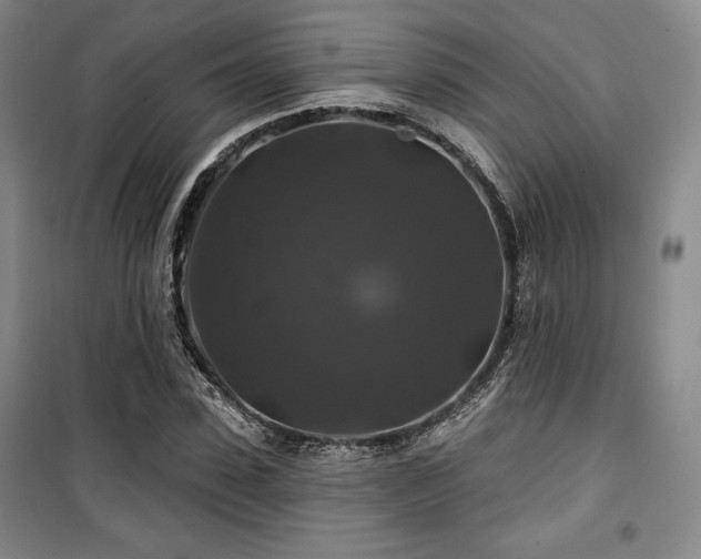 X0000100370923200806061152