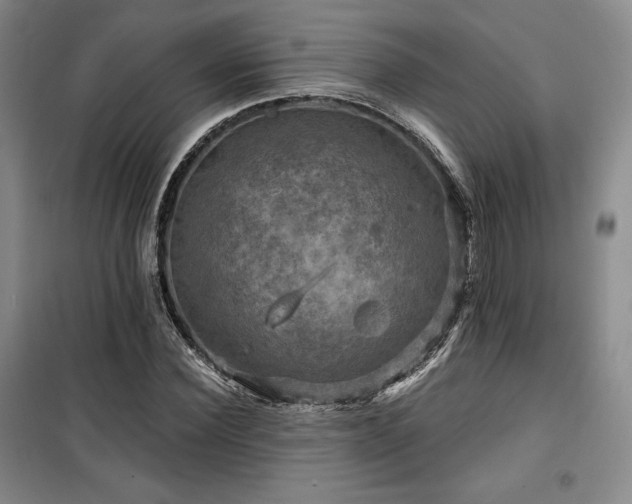 X0000100370924200806061152
