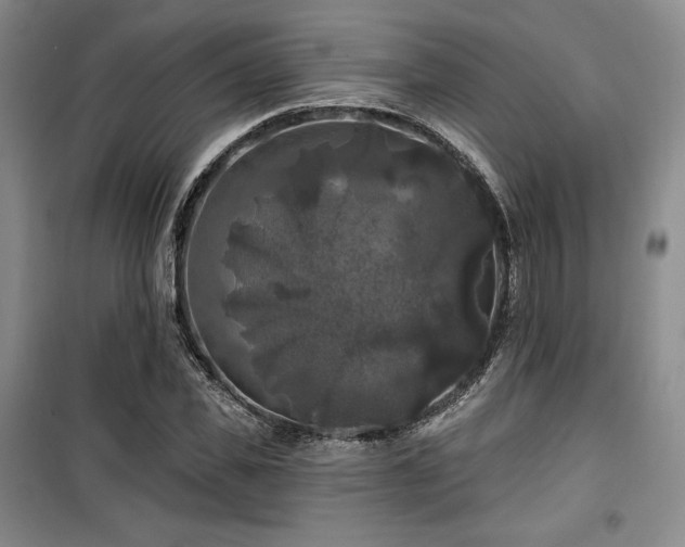 X0000100370925200806061152