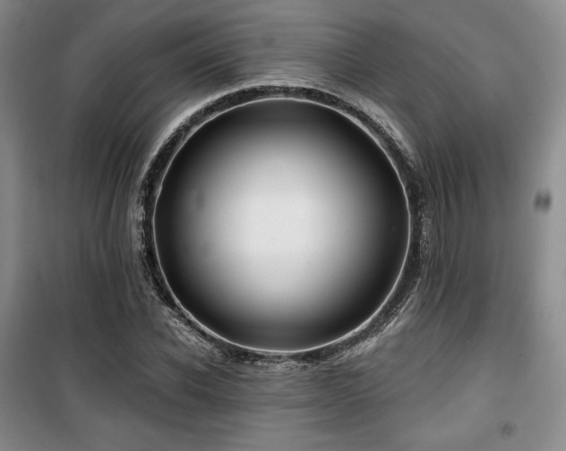 X0000100370926200806061152