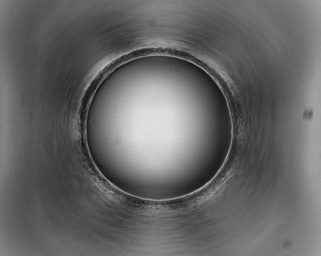 X0000100370927200806061152