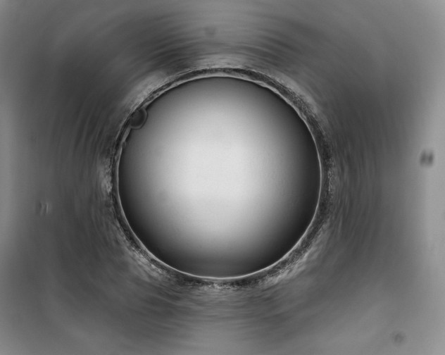 X0000100370929200806061152