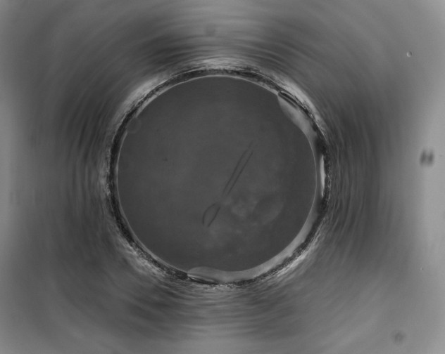 X0000100370930200806061152