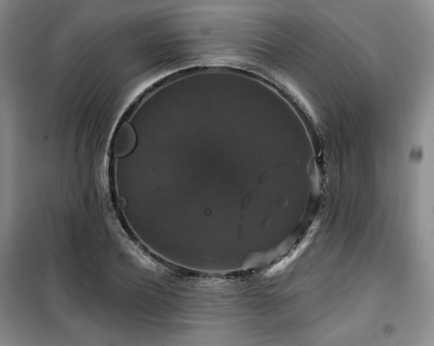 X0000100370932200806061152