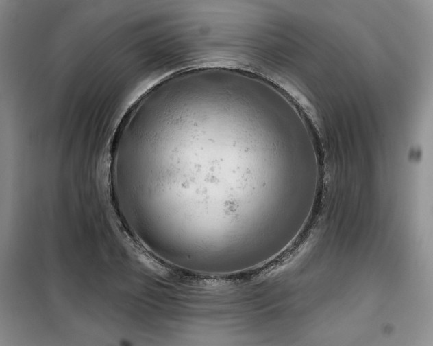 X0000100370933200806061152