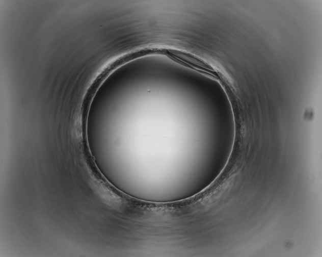 X0000100370934200806061152