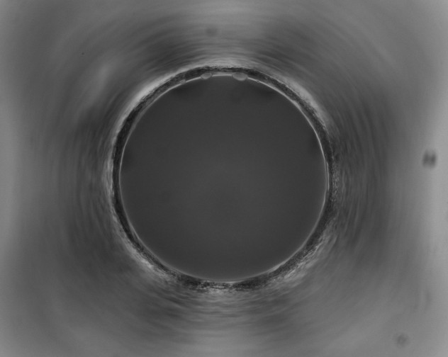 X0000100370935200806061152