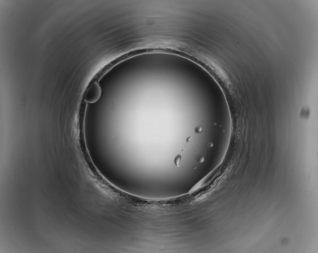 X0000100370936200806061152