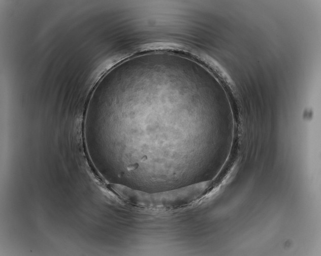 X0000100370937200806061152