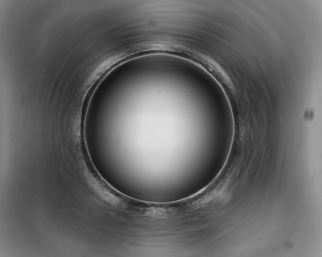 X0000100370938200806061152