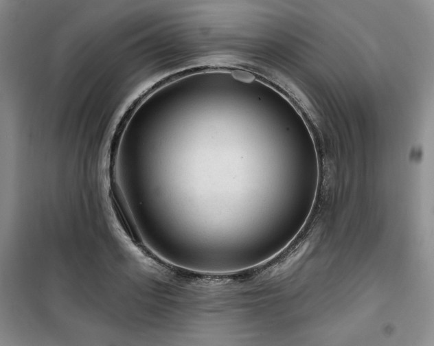 X0000100370939200806061152