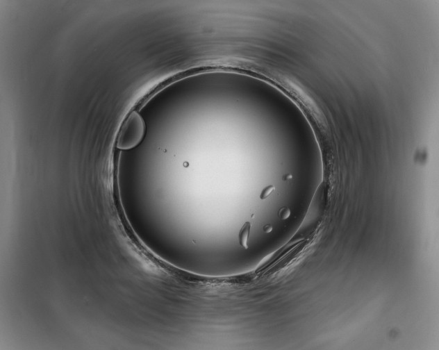 X0000100370940200806061152