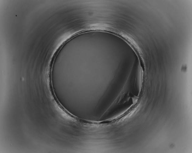 X0000100370941200806061152