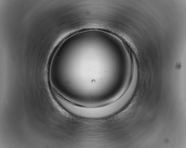 X0000100370942200806061152