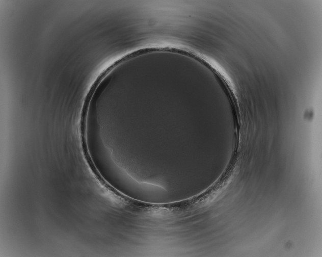 X0000100370943200806061152