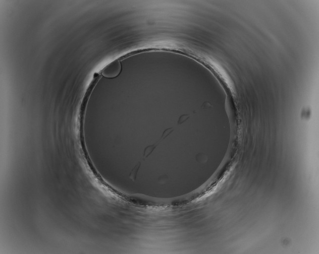 X0000100370944200806061152