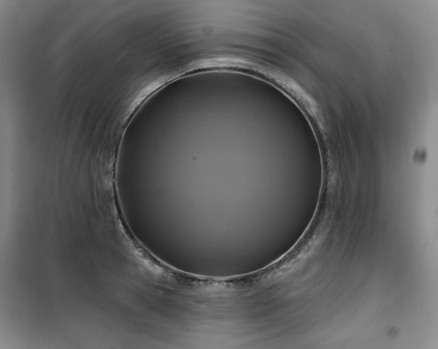 X0000100370945200806061152