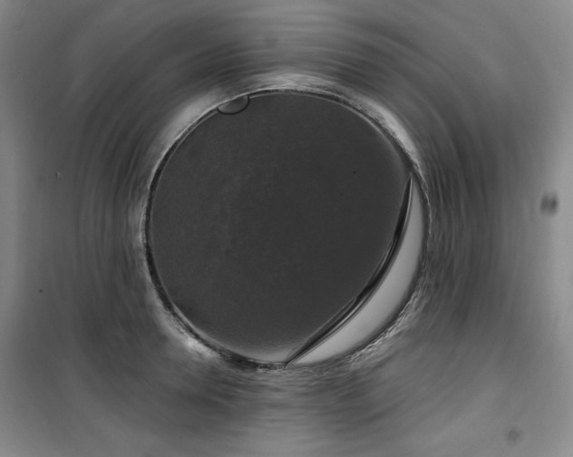 X0000100370946200806061152
