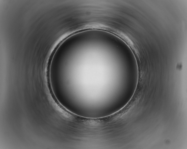 X0000100370947200806061152