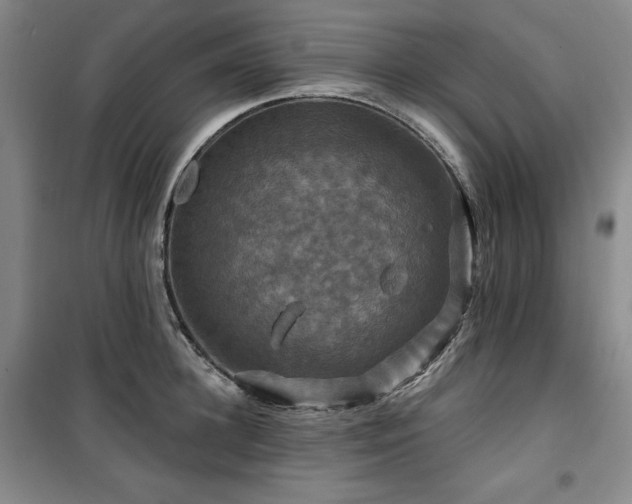 X0000100370948200806061152