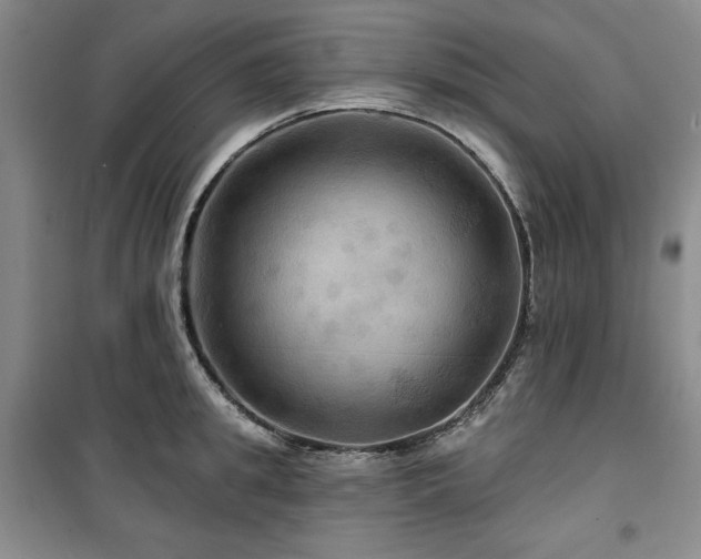 X0000100370949200806061152
