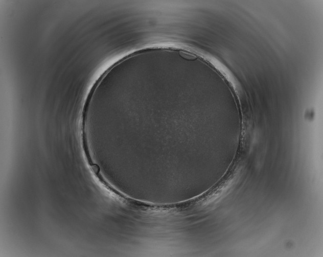 X0000100370951200806061152