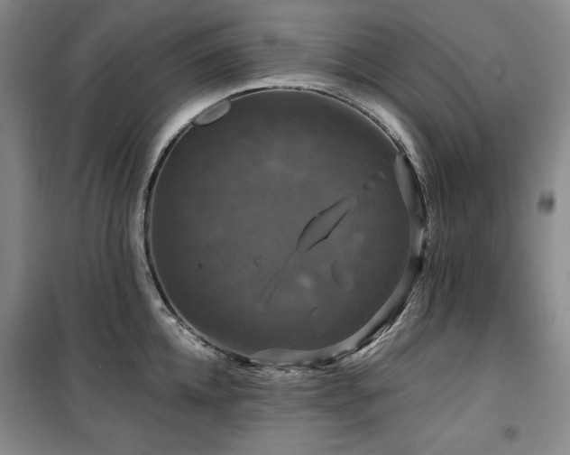 X0000100370952200806061152