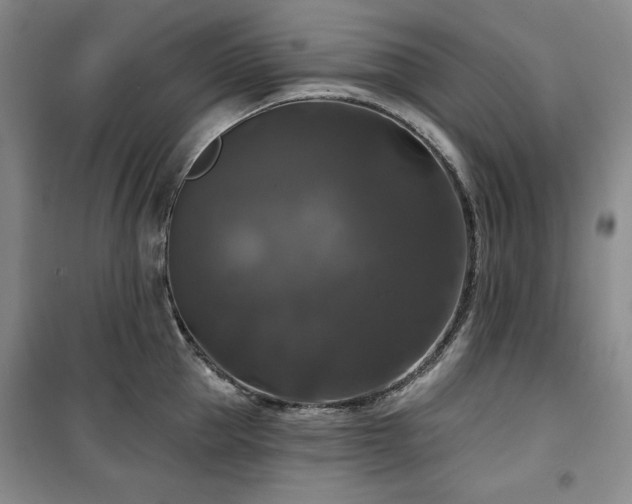 X0000100370953200806061152