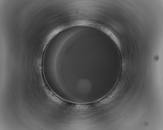 X0000100370954200806061152