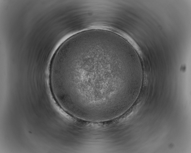 X0000100370955200806061152